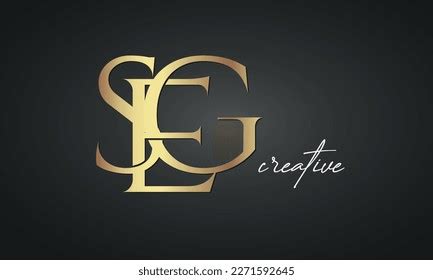 Image result for Seg Icon
