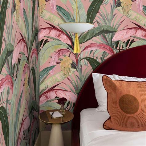 Pink Banana Plant Wallpaper – Wallpapers4Beginners