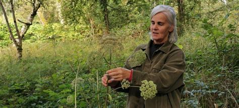 Spring Foraging Session, Birr Castle Demesne, Offaly, 11 May 2025 ...