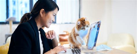 10 resume builders and template tools to make your resume stand out ...