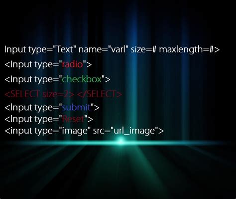 Input Form.html 的图像结果
