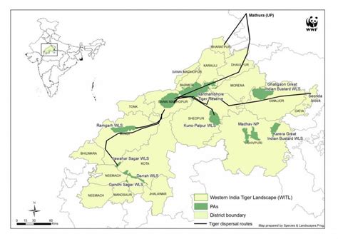 भारत में टाइगर रिजर्व और प्रोजेक्ट टाइगर (Tiger Reserves in India ...