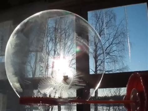 Cold Weather Experiments 的图像结果