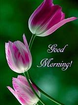 Image result for Good Morning Floral Quotes