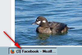 Taskbar in Browser 的图像结果