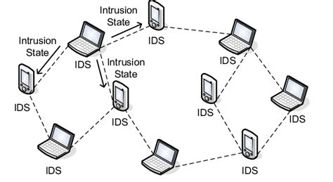 WNET IDs 的图像结果