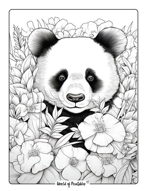Panda Coloring Pages For Kids & Adults - World of Printables