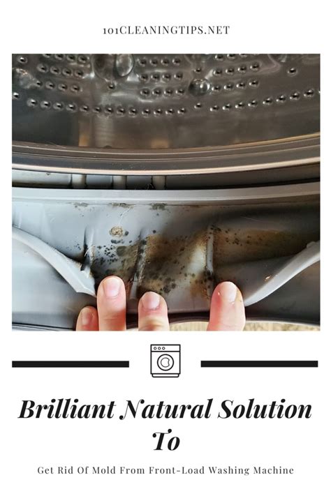 Image result for How Do You Remove Mold and Mildew From Front Loading Washing Machine