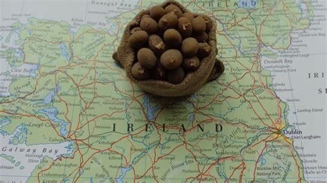 Paddy’s Lament: Pathogen responsible for Irish Potato Famine originated ...
