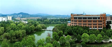 滁州学院国家级省级一流本科专业达17个|滁州学院|学校|本科_新浪新闻