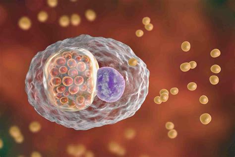 Chlamydia Bumps on Tongue: Causes, Symptoms & Treatment