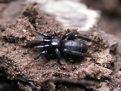 Thumbnail for version as of 16:52, 8 April 2008