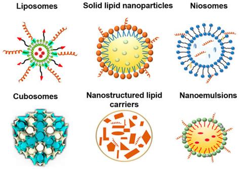 Recent Uses of Lipid Nanoparticles, Cell-Penetrating and Bioactive ...