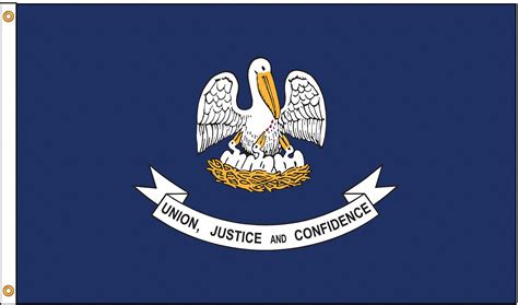 NYLGLO Louisiana State Flag, 4 ftH x 6 ftW, Indoor, Outdoor - 5JFJ1 ...