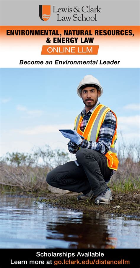 LLM Distance Learning 的图像结果