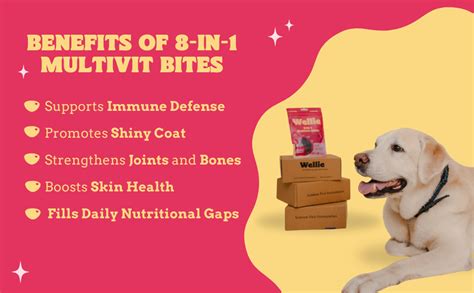 Wellie 8-in-1 Chicken Flavored Multivitamin Bites for Dogs - Boosts ...