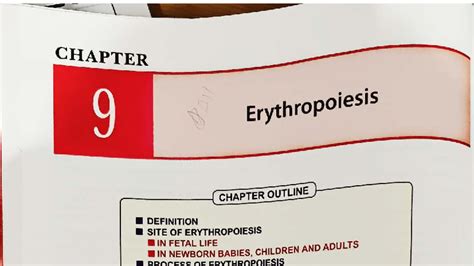 Erythropoiesis: Definition, Stages, and Factors (BIO 101) - Studocu