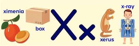 X Words For Kids With Pictures