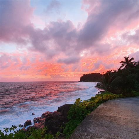 COASTLINE ISLAND TOUR - All You Need to Know BEFORE You Go 2026 (with ...