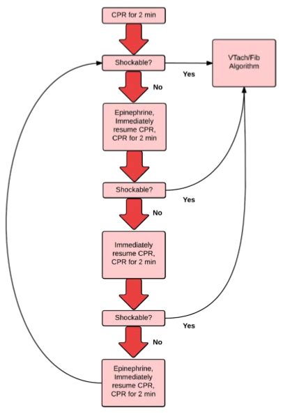 Asystole ACLS Algorithm 的图像结果