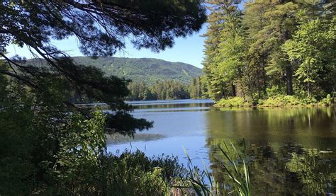 WHITE PINE LODGE (Londonderry) - Inn Reviews & Photos - Tripadvisor