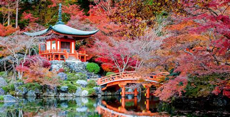 Japan | Travel guide, tips and inspiration | Wanderlust