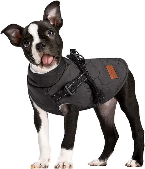 Amazon.com : JUDYBRIDAL Dog Winter Jacket Pet Turtleneck Sweater for ...