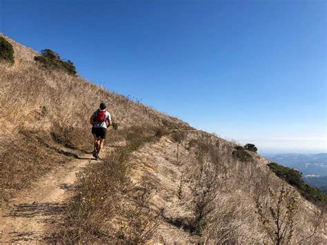 Windy Hill Open Space Preserve – Roadside Secrets