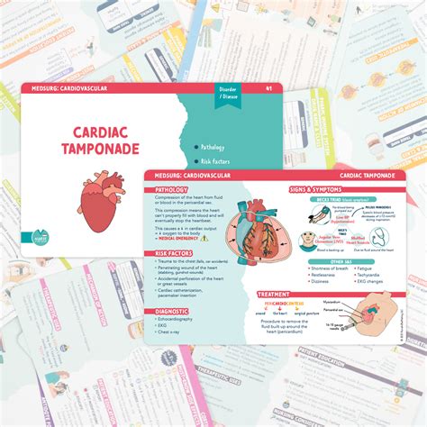 Bundle & Save – NurseInTheMaking