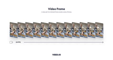 Video Frame Tutorial 的图像结果