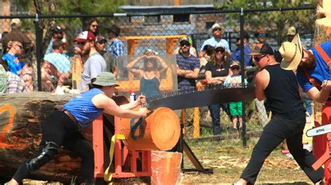 Image result for Logging Shows