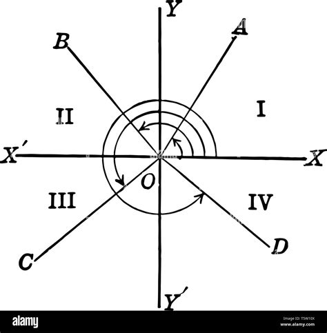 Quadrants Of A Circle