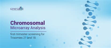 Microarray Test 的图像结果