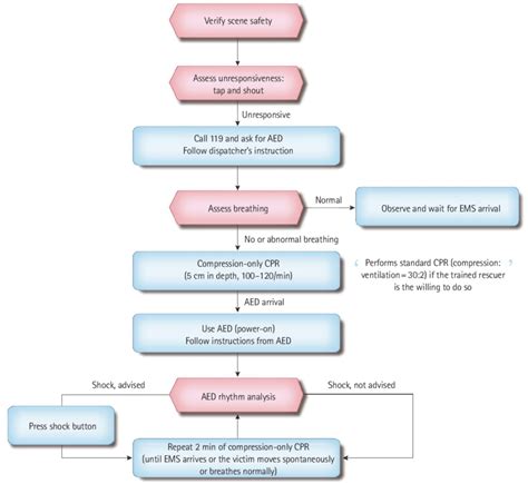 Asystole ACLS Algorithm 的图像结果