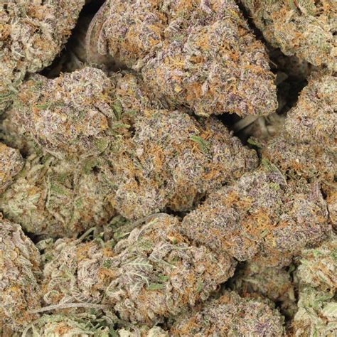 Happy Hour Strain | Bulk Buddy Weed Online Dispensary Canada