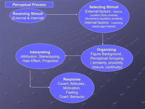 Perception Tutorial 的图像结果