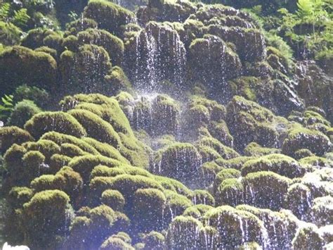 Utuado Tourism (2024): All You Need to Know Before You Go