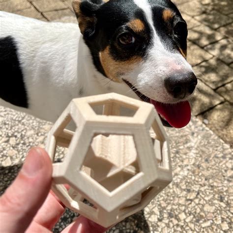 Dog Toy TNG Alpha by OderWat | Download free STL model | Printables.com