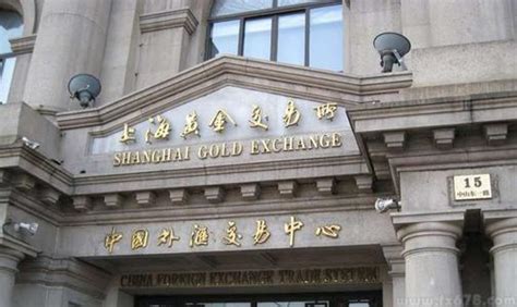 上海黄金交易所－启信宝