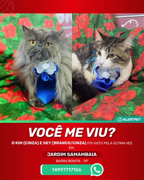 Image result for Declare Boolean in Python