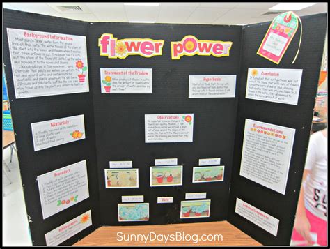 Printable Science Fair Projects