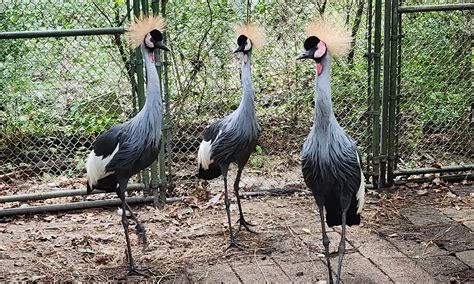 Local Activities Near Me 的图像结果