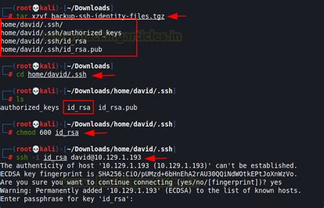 Traverxec HacktheBox Walkthrough