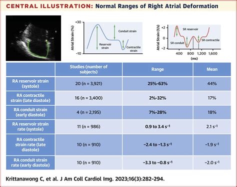Normal Ranges of Right Atrial Strain: A Systematic Review and Meta ...