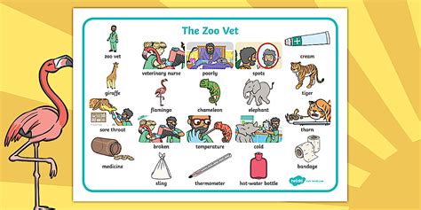 Editable The Zoo Vet Word Mat (teacher made) - Twinkl