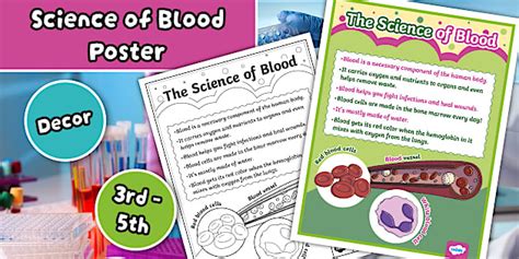 Free Science Lessons Blood 的图像结果