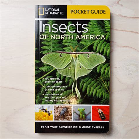 Image result for Insect Guide