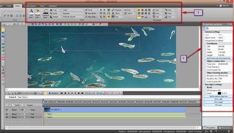 Vsdc Add Text To 的图像结果