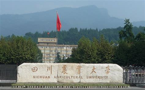 同为新一本，湖南工业大学、吉首大学、湖南理工学院，哪个强？_高校_排名_浙江