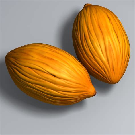 Canary Melon 3D Model $9 - .fbx .obj .max - Free3D